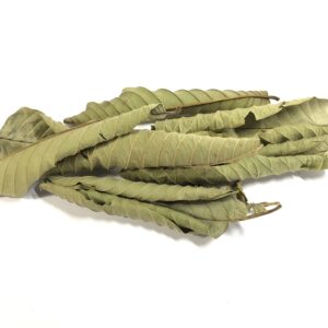 Dried Organic Guava Leaves