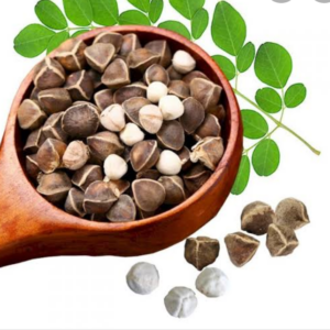 Moringa Seeds