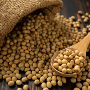 Soya Beans