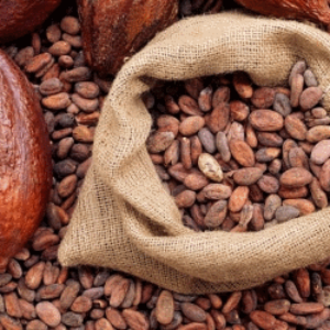 African Cocoa Beans
