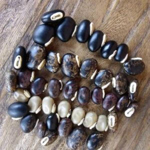 Mucuna Pruriens Seeds (Velvet Beans)