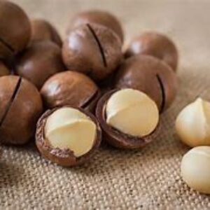 African Macadamia nuts