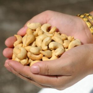 African Cashew Nut