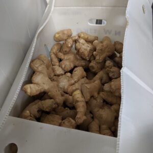 Fresh Ginger