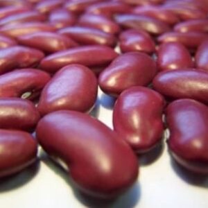 Kidney Beans