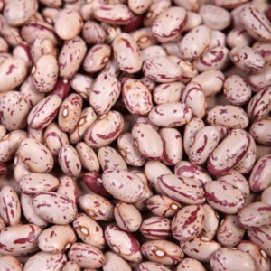 Light speckled kidney beans