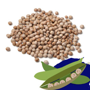 Pigeon Pea