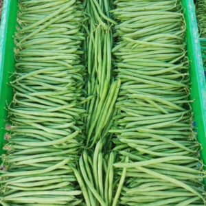 French Beans