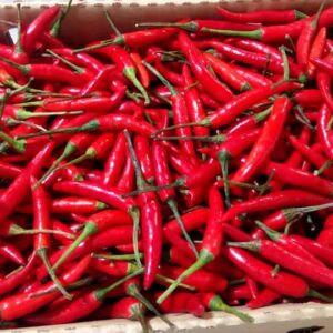 Hope Greenland Chili