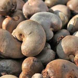 Raw Cashew Nut