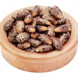 Castor Seeds