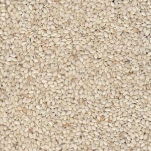 Sesame Seed