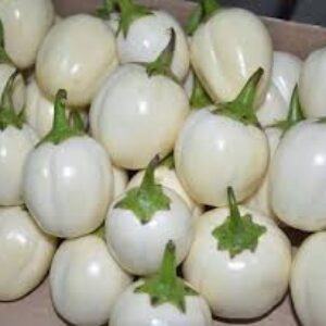 WHITE EGGS