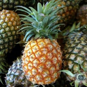 Pineapples