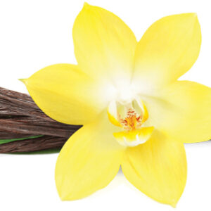 Vanilla Beans Gourmet Grade A