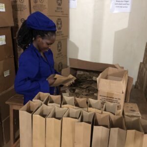 Pure and Organic Moringa Leaves – Most Nutritious Herbal Extracted